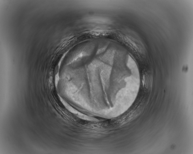 X0000098191396200805151153