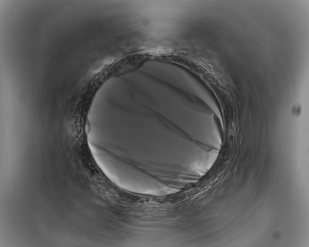 X0000098191398200805151153