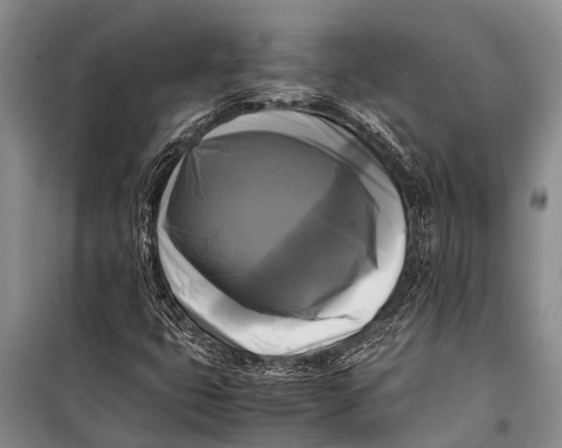 X0000098191399200805151153
