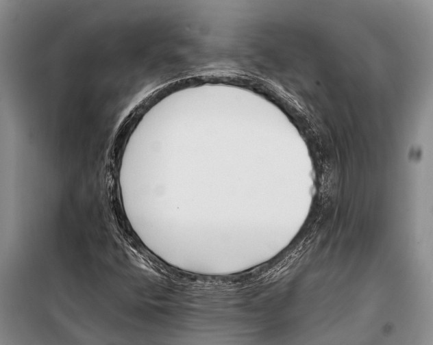 X0000098191400200805151153
