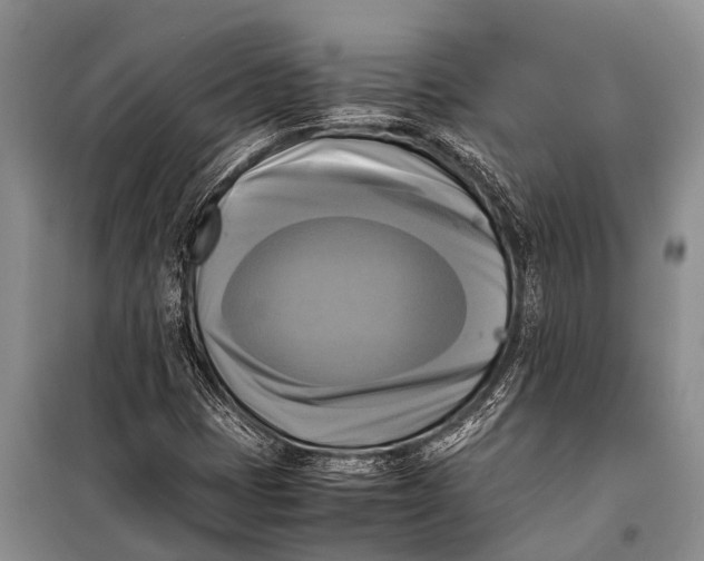 X0000098191401200805151153