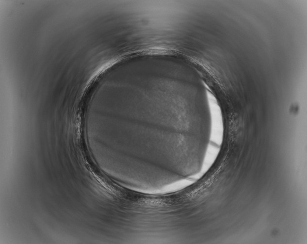 X0000098191402200805151153