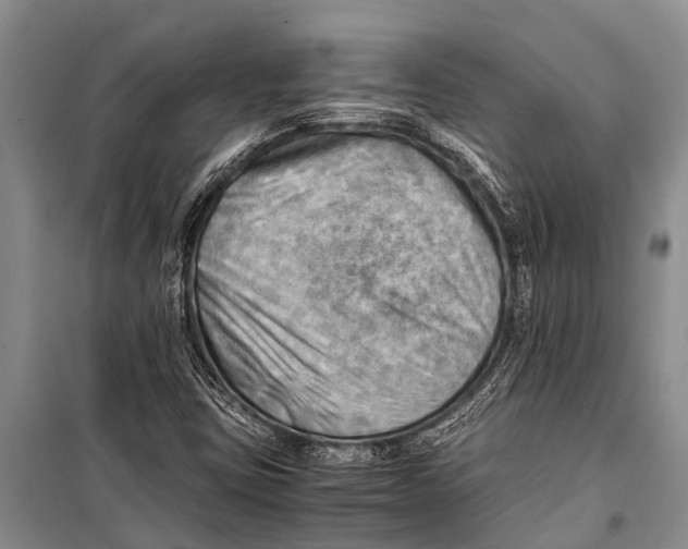 X0000098191403200805151153