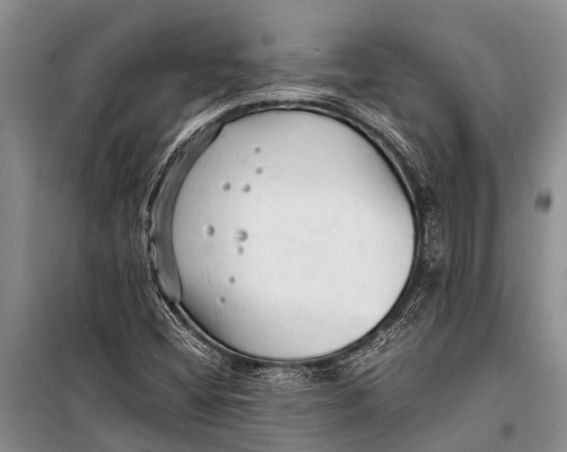 X0000098191404200805151153