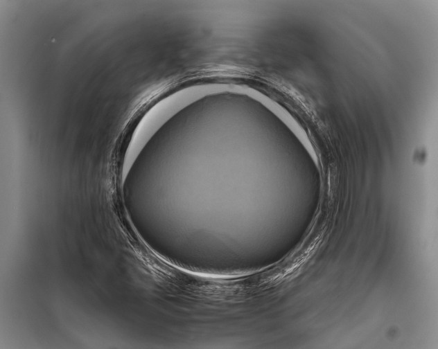 X0000098191405200805151153
