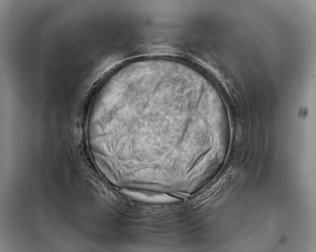 X0000098191407200805151153