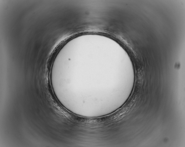 X0000098191408200805151153