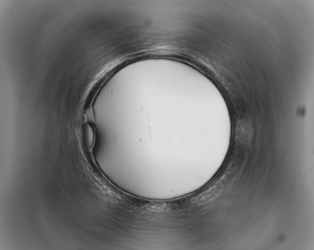 X0000098191410200805151153
