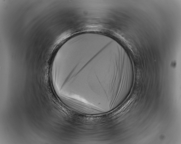 X0000098191411200805151153