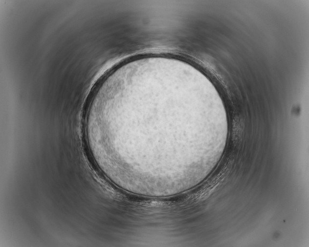 X0000098191412200805151153