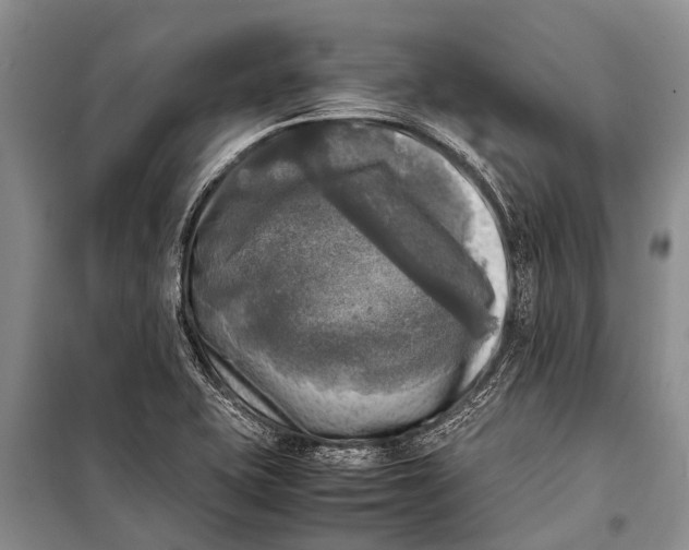 X0000098191415200805151153