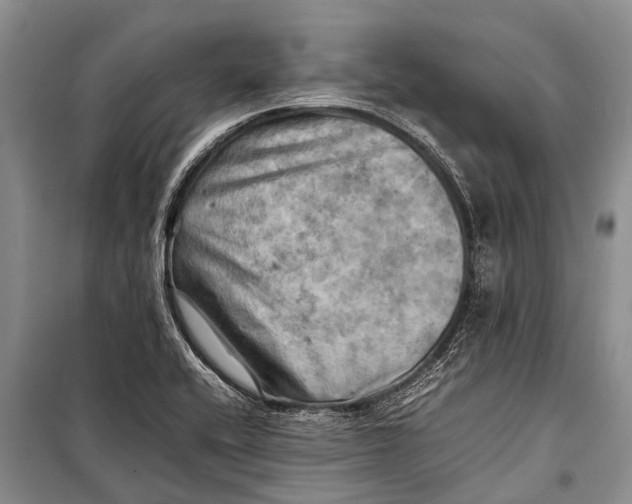 X0000098191416200805151153