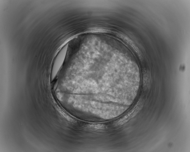 X0000098191417200805151153