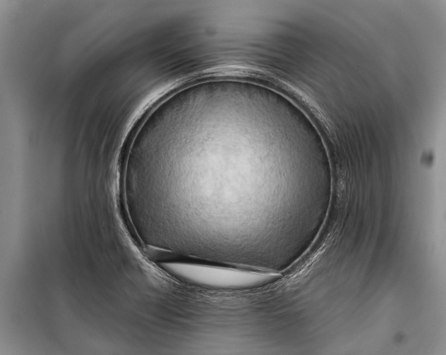 X0000098191418200805151153