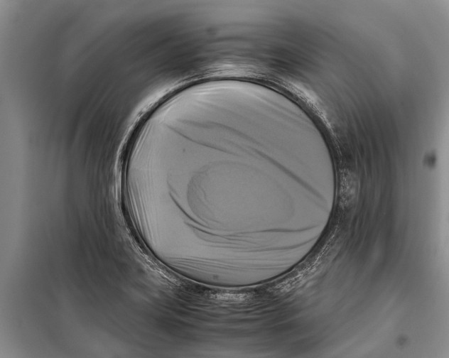 X0000098191419200805151153