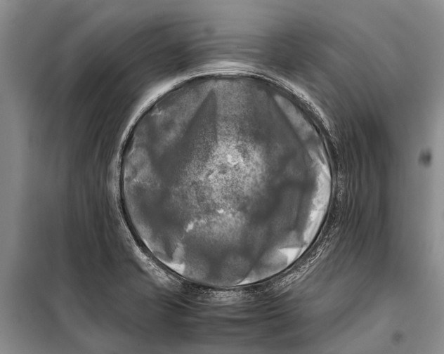 X0000098191421200805151153