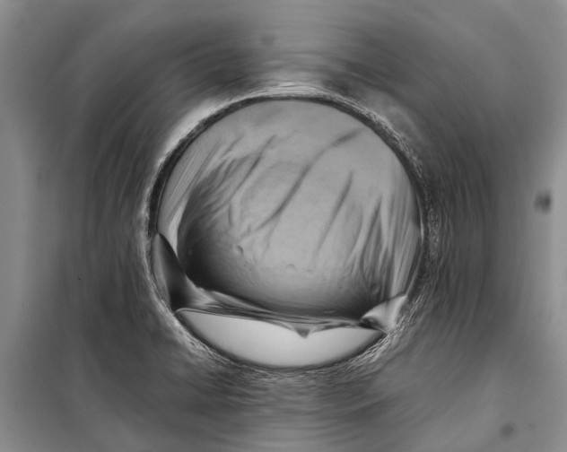 X0000098191422200805151153