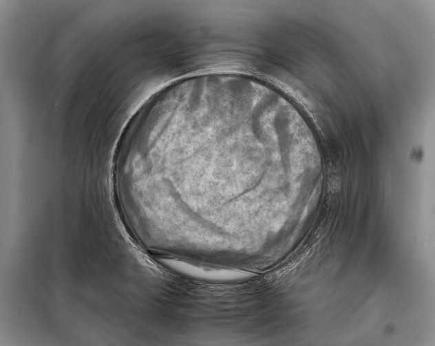 X0000098191423200805151153
