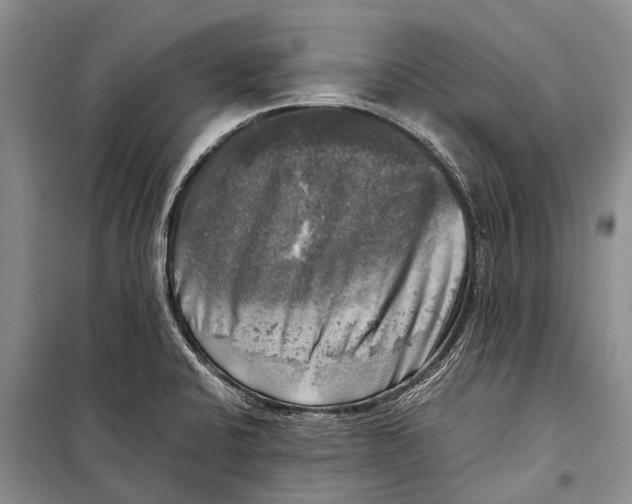 X0000098191424200805151154