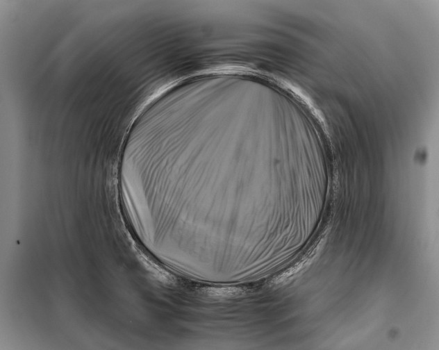 X0000098191425200805151154