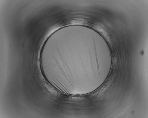 X0000098191427200805151154