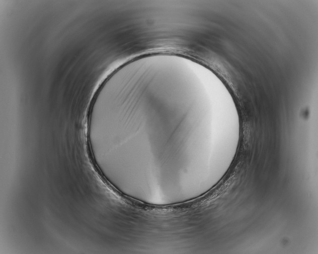 X0000098191428200805151154