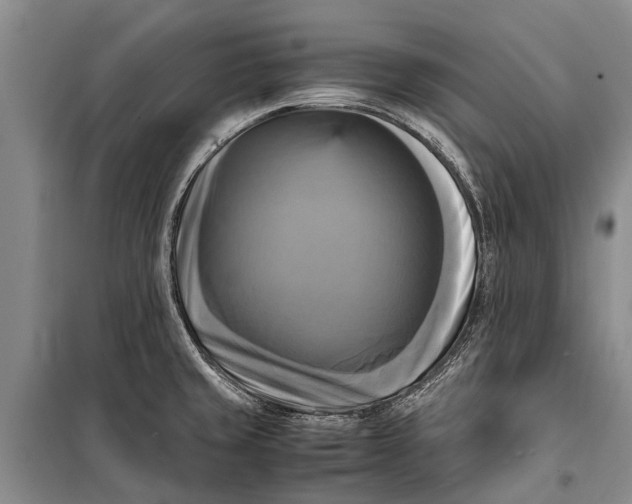 X0000098191429200805151154