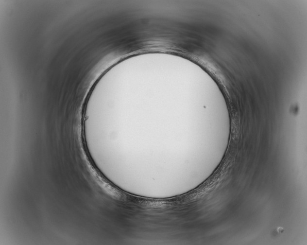 X0000098191431200805151154