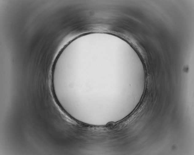 X0000098191432200805151154