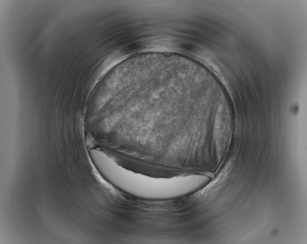 X0000098191433200805151154