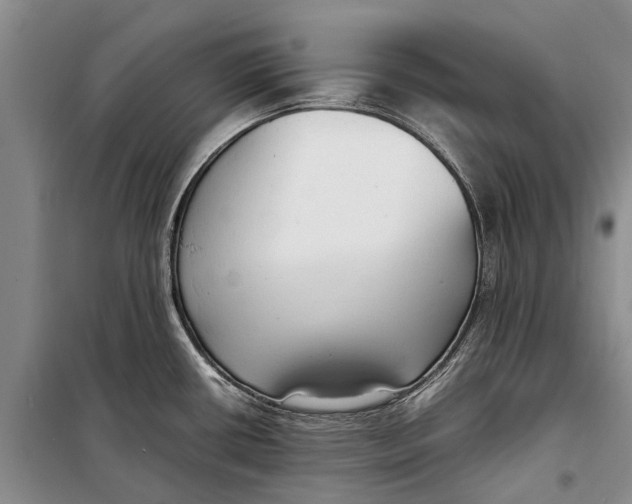 X0000098191434200805151154