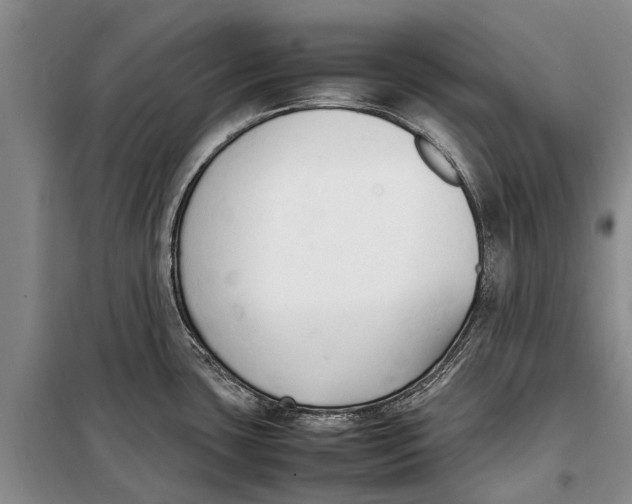 X0000098191435200805151154