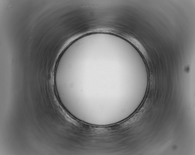 X0000098191436200805151154