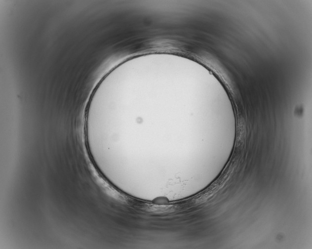 X0000098191439200805151154