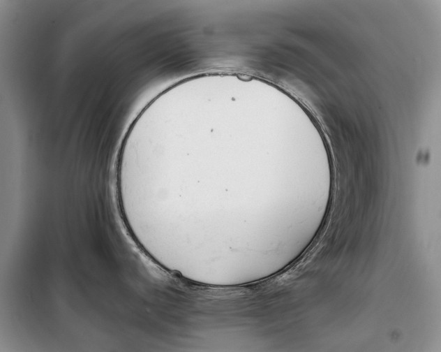 X0000098191440200805151154