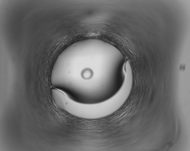 X0000098191441200805151153