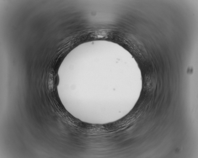 X0000098191442200805151153