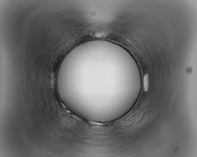 X0000098191443200805151153