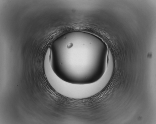 X0000098191444200805151153