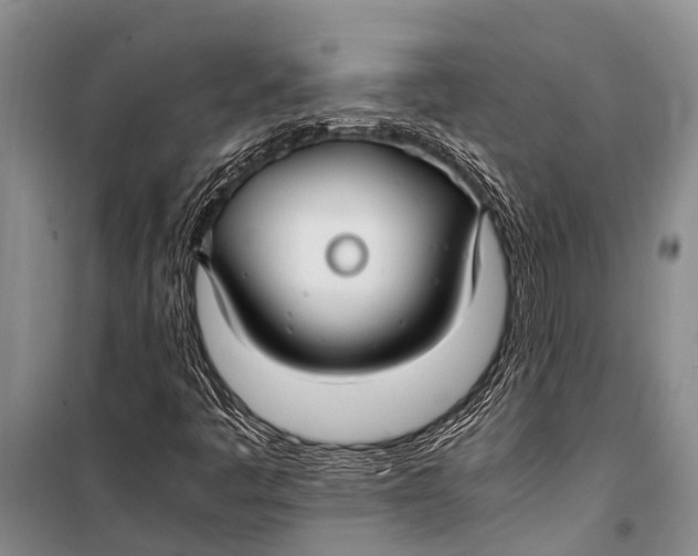 X0000098191445200805151153