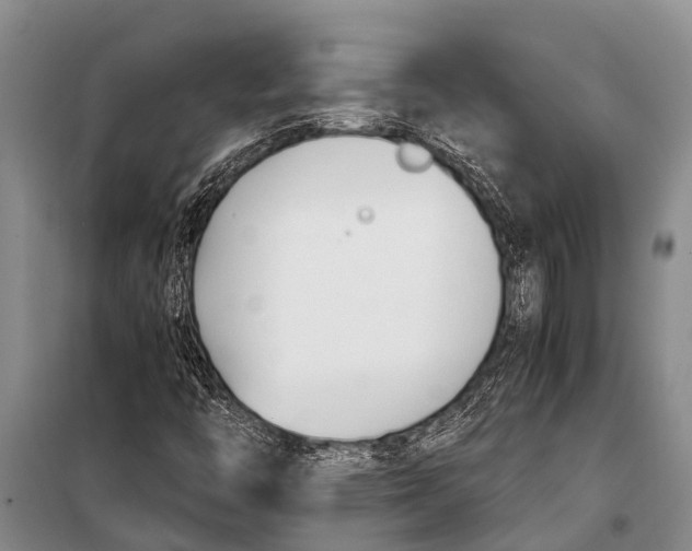 X0000098191446200805151153