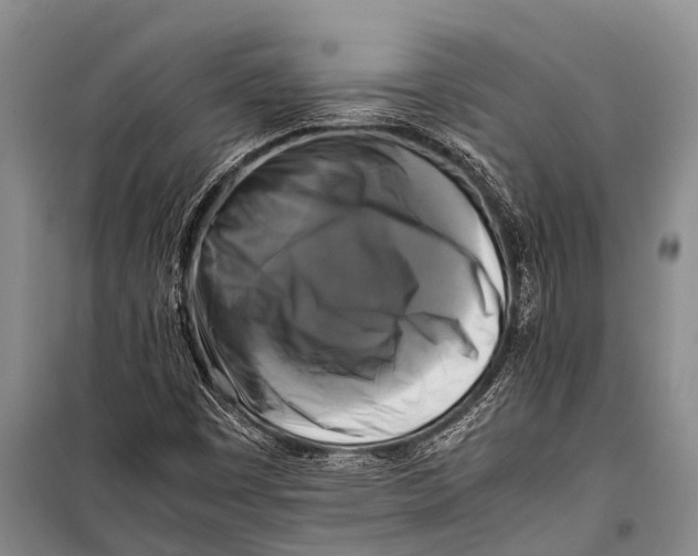 X0000098191449200805151153