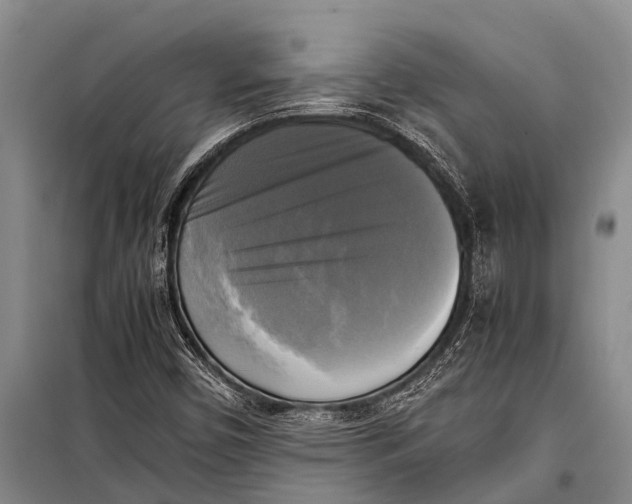 X0000098191450200805151153