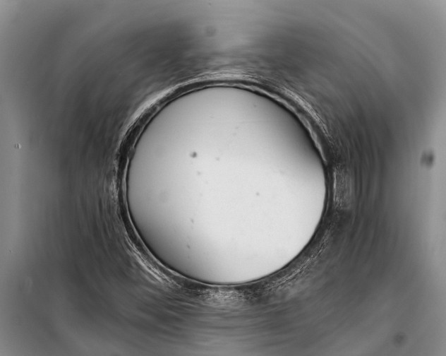 X0000098191452200805151153