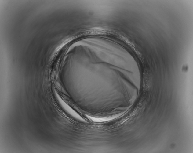 X0000098191453200805151153