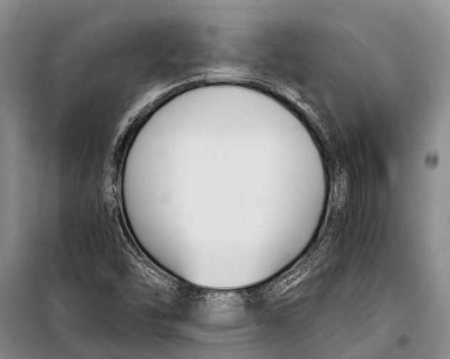 X0000098191454200805151153
