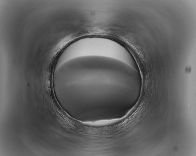 X0000098191455200805151153