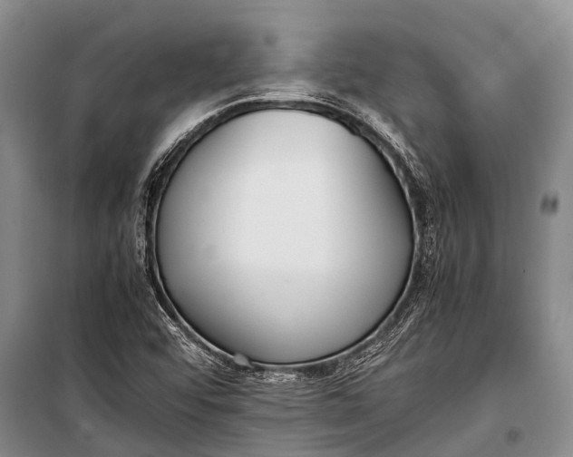 X0000098191456200805151153