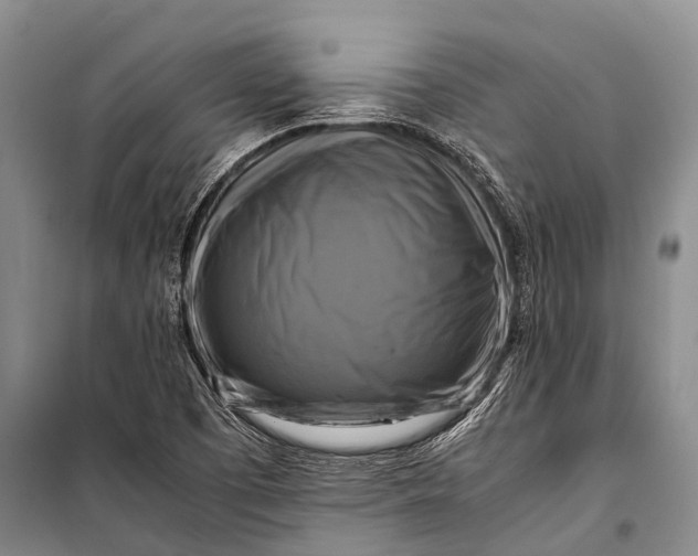 X0000098191457200805151153
