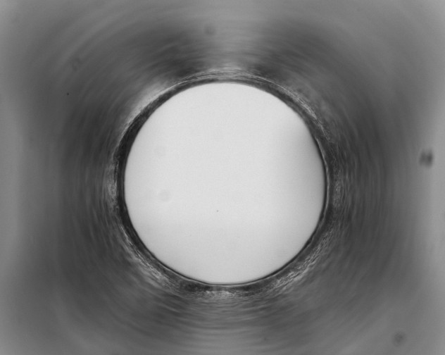 X0000098191458200805151153